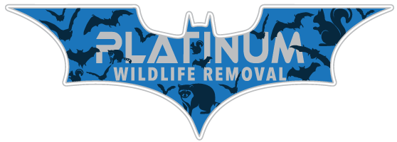 Napoleon Wildlife Removal